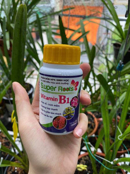 [HCM]PHÂN BÓN NPK SINH HỌC SUPER ROOTS VITAMIN B1 CHAI 100ML