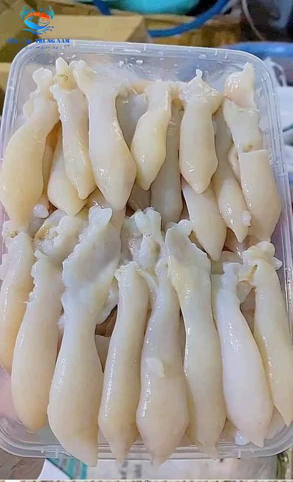 Thịt Ôc Móng Tay Đã Tách Vỏ ( Hộp 500g)