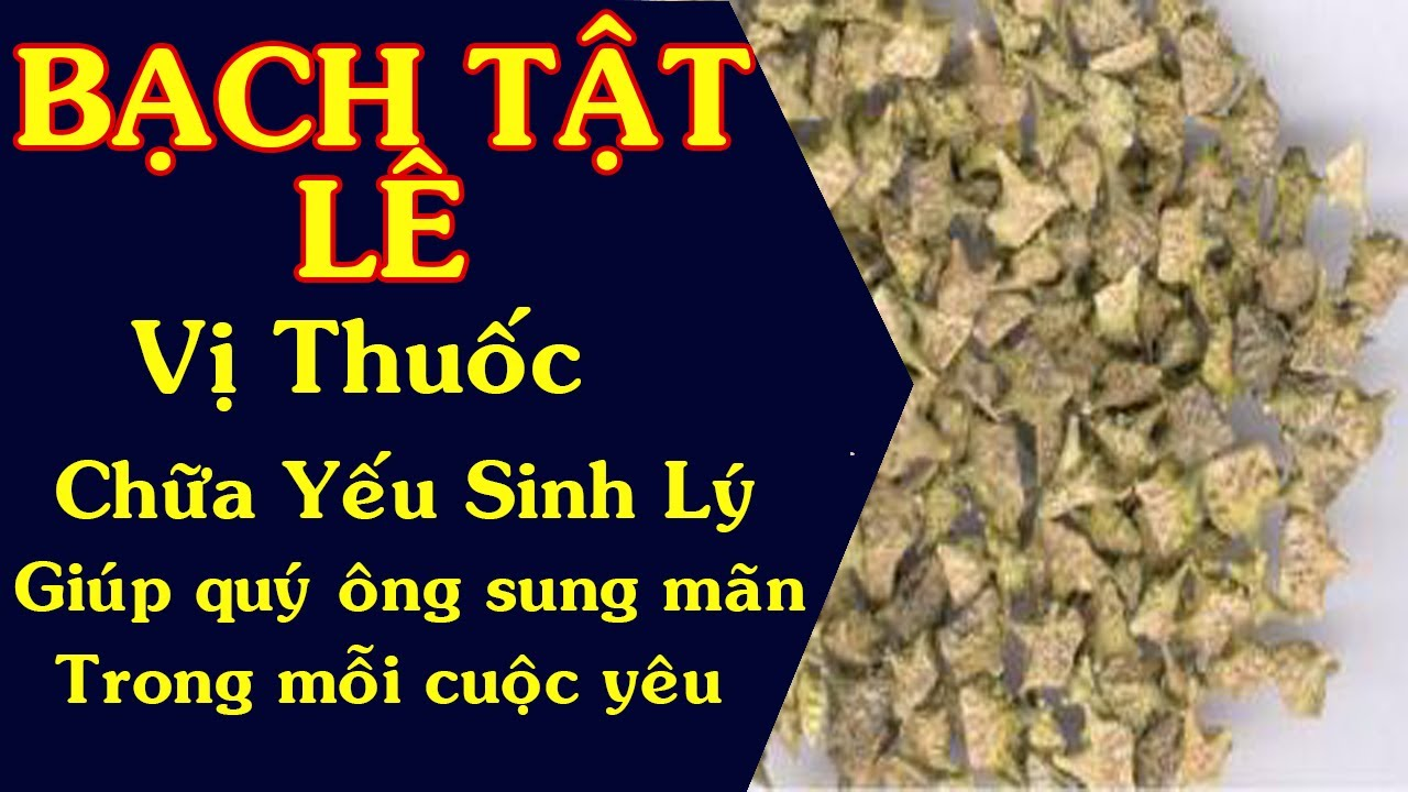 500g BẠCH TẬT LÊ-BỔ THẬN TRÁNG DƯƠNG