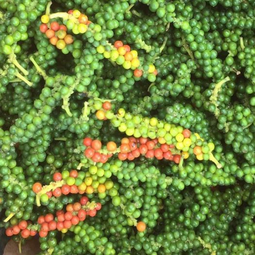 tiêu xanh ngâm mắm hũ 1kg