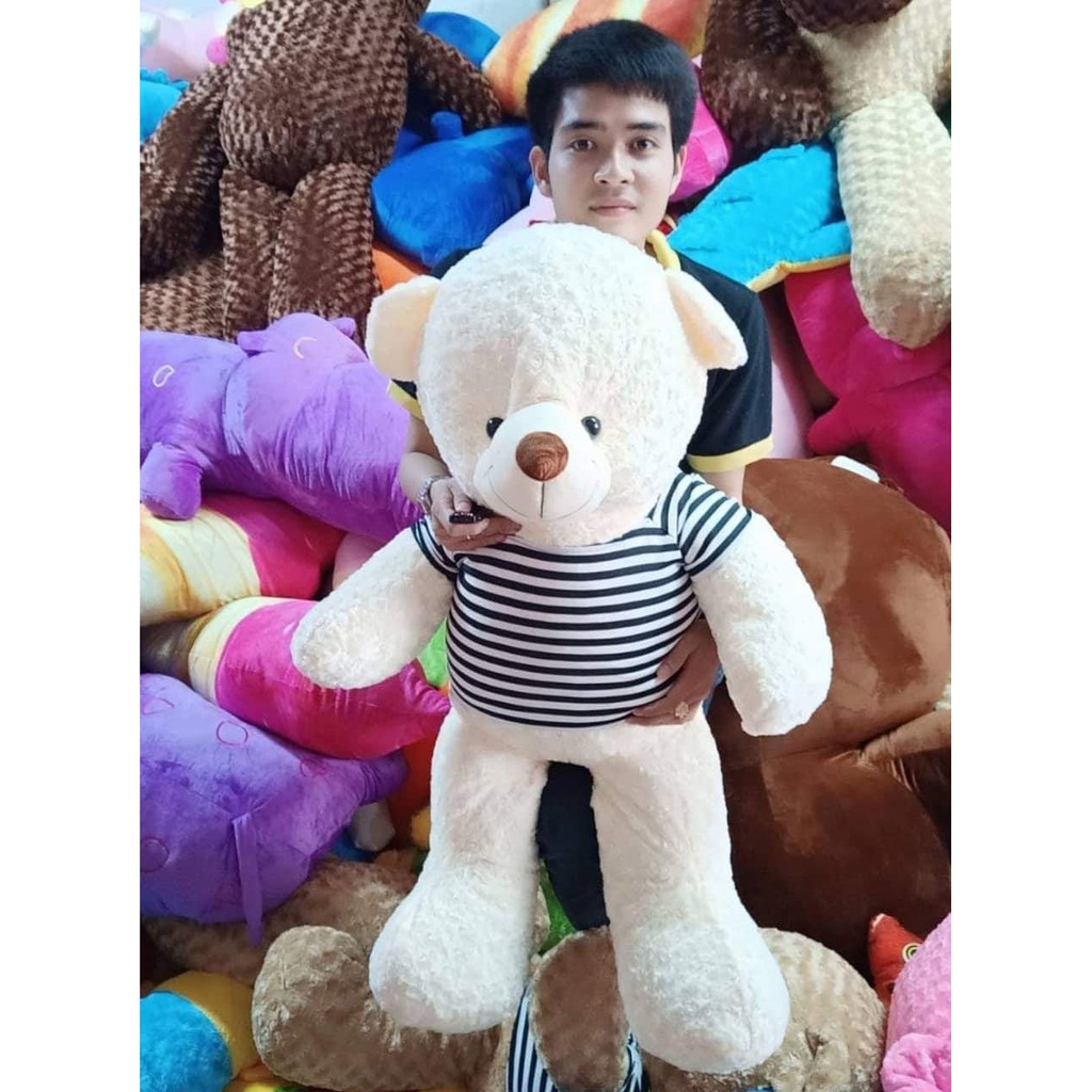 Gấu bông teddy khổ vải 1m2