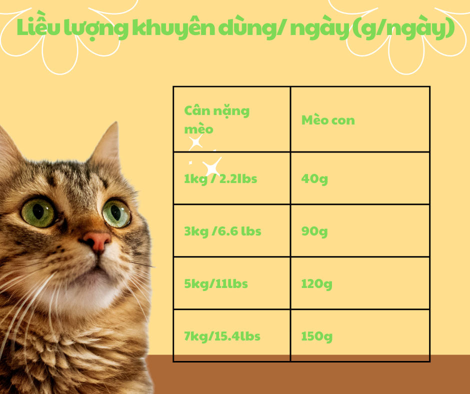 Nutrience Infusion Healthy kitten (Food for kittens)