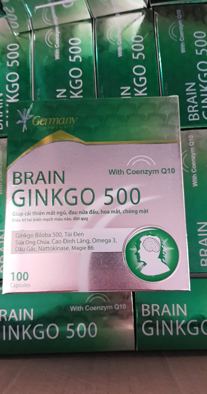 Brain Ginkgo 500 - Bổ sung dưỡng chất cho não