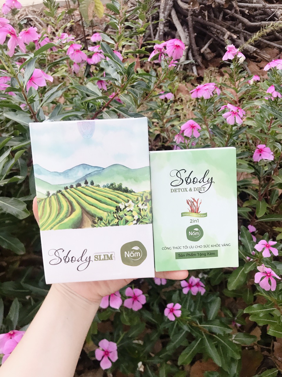 [Giảm cân] Cà phê giảm cân sbody green coffe chuẩn[Chính Hãng]