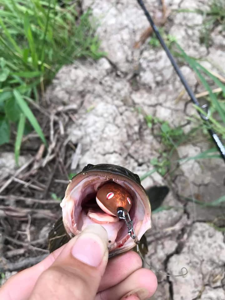 [HCM]1 con nhái hơi mồi chìm F35 của TNT / NTN