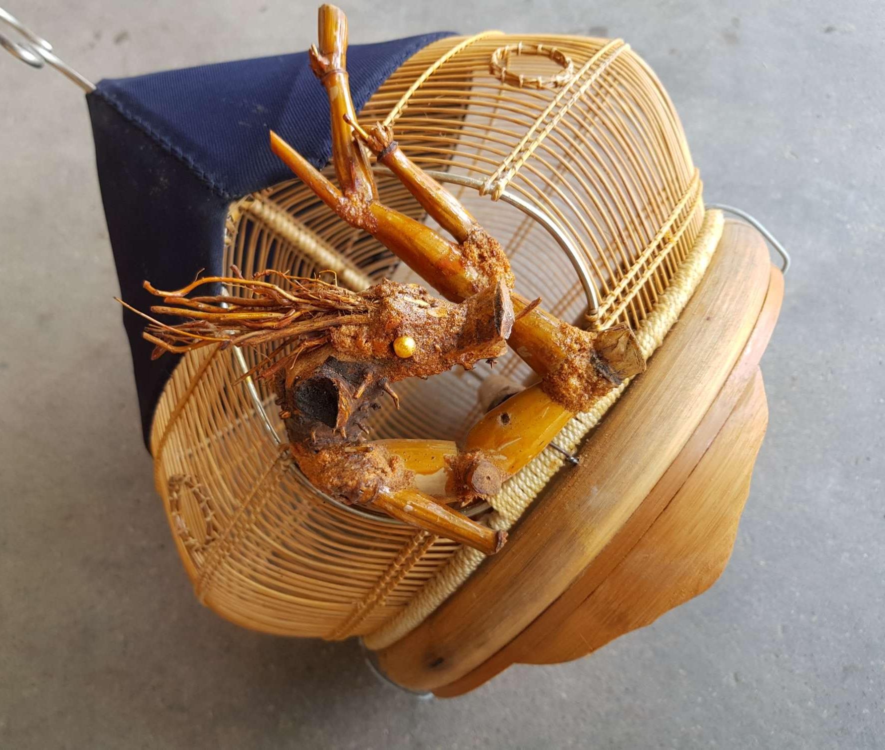 Lồng nuôi cu gáy hàng đẹp
