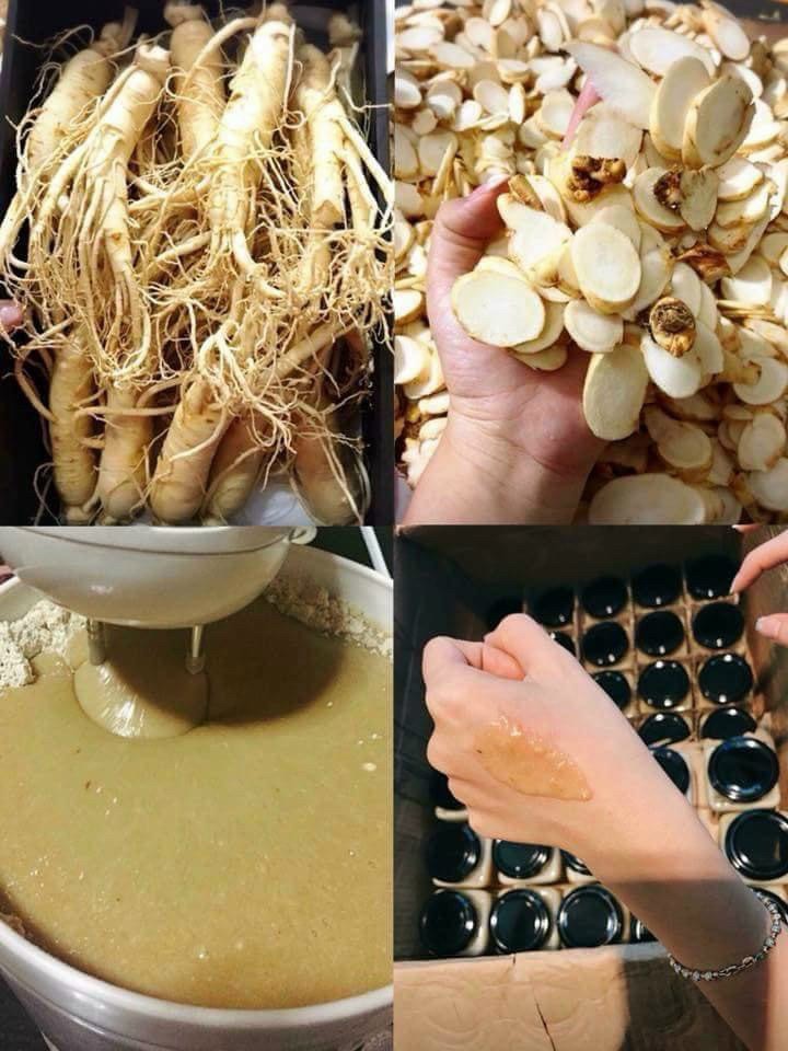 [HCM]Nạ Mask Sâm tươi