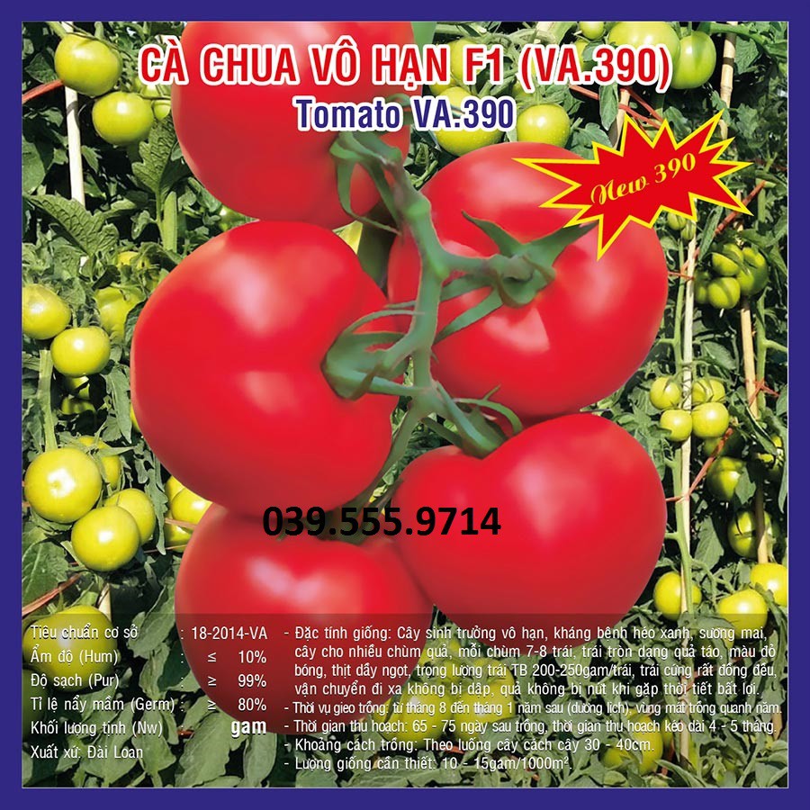 Hạt giống cà chua vô hạn – 2.000 hạt