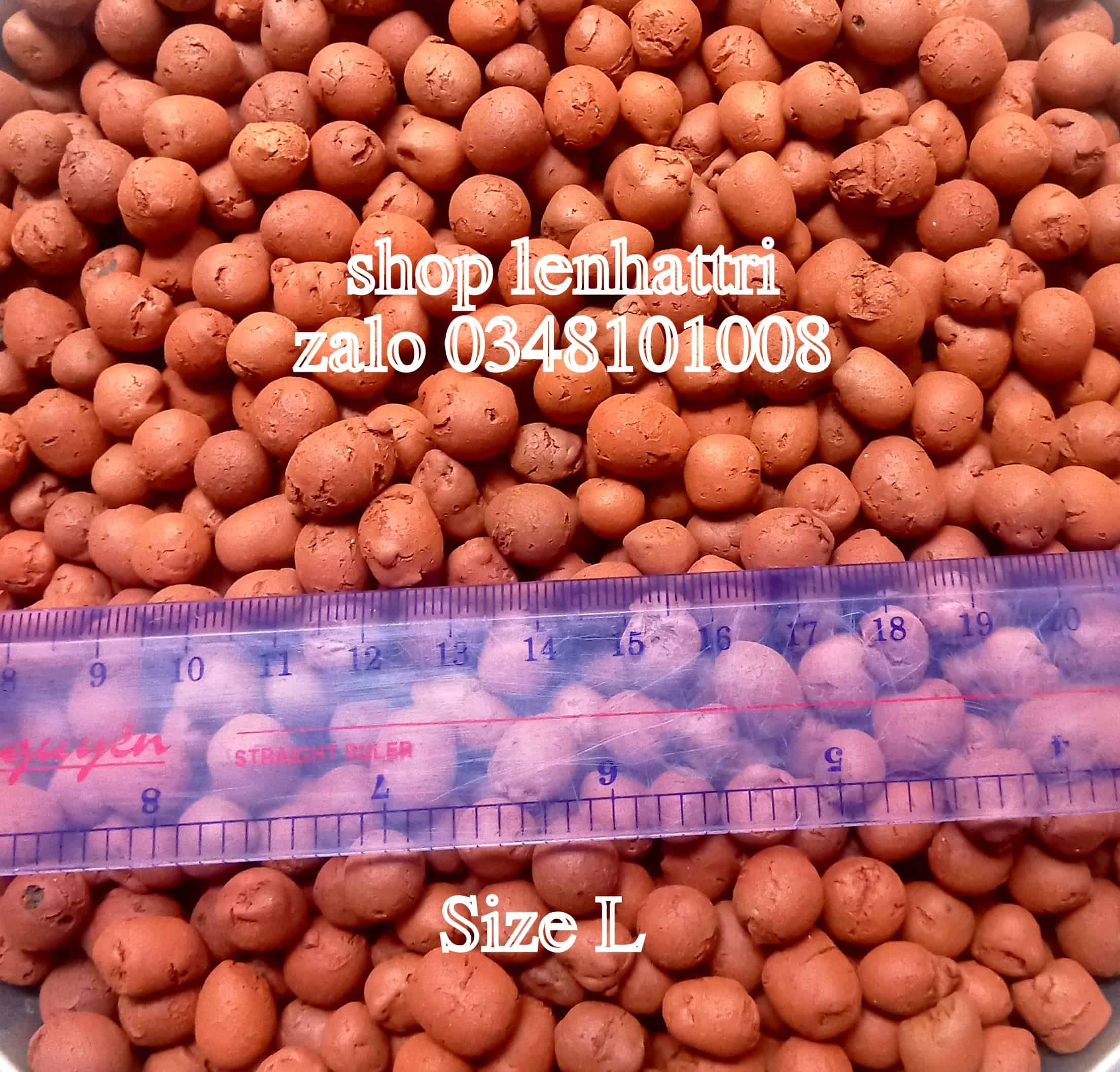 [Hcm]Thai Light Gravel-Fired Clay, Plant Growing Medium, 1kg