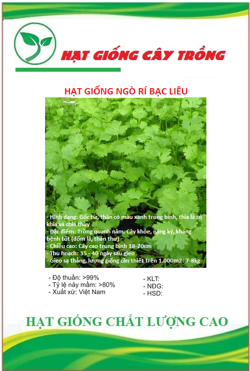 Hạt giống ngò rí bạc liêu - gói 20gram