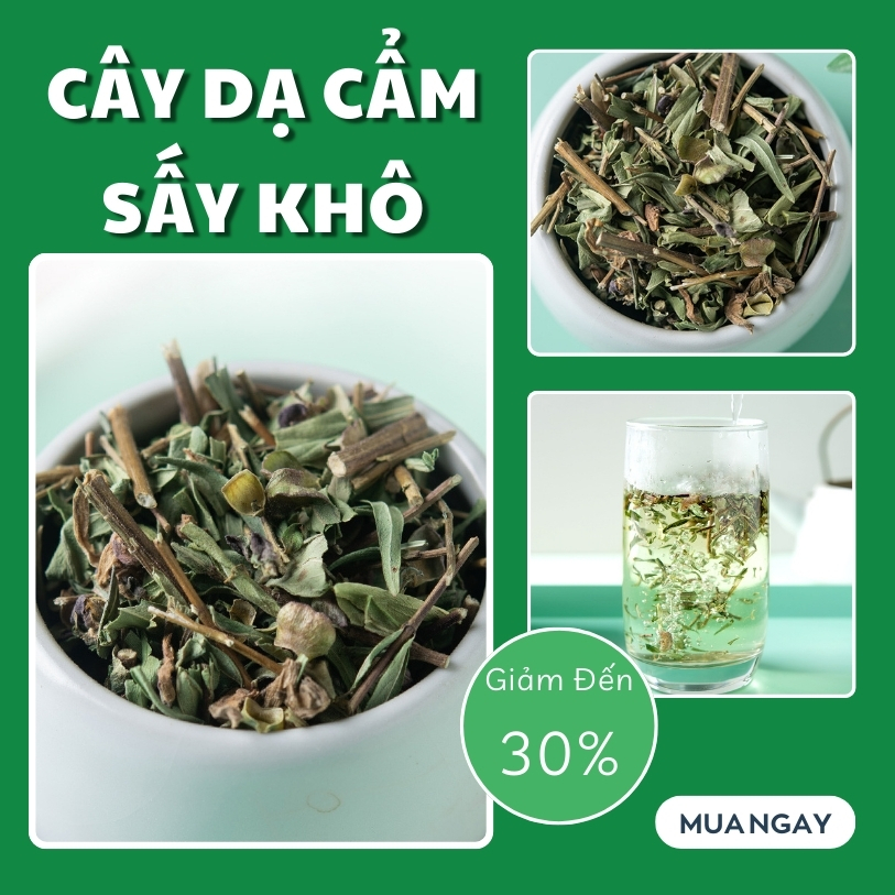[Hàng mới về] Cây dạ cẩm khô 1kg - tấn phát - Hỗ trợ thanh nhiệt và giải độ.c cực kỳ hiệu quả