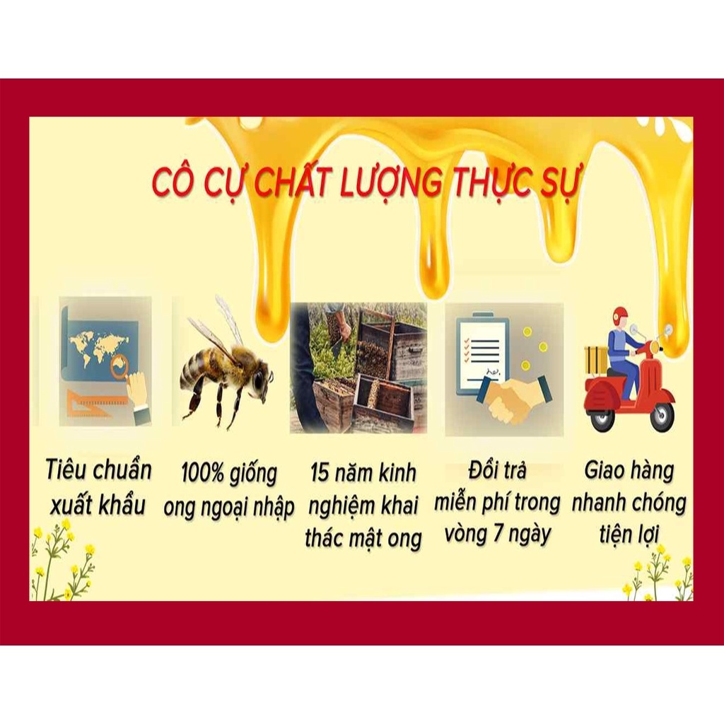 Mật ong nguyên chất 1 lít Đặc sản Cô Cự