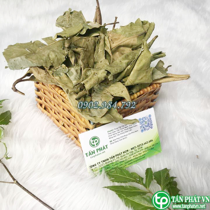 Combo 3kg lá vối khô - Hàng công ty chất lượng cao - Chuyên dùng để pha trà hỗ trợ dạ dày