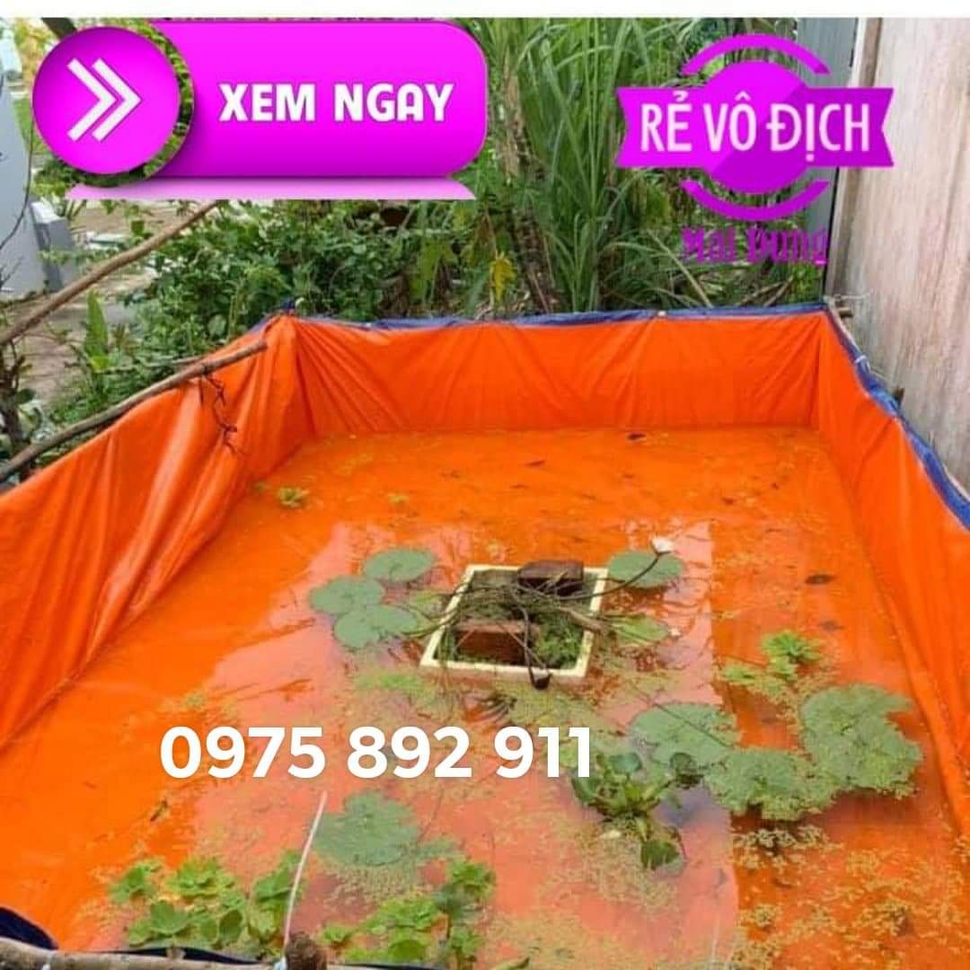 BỂ BẠT NUÔI ,ỐC ,ẾCH ,CÁ , LƯƠN 3x2x1