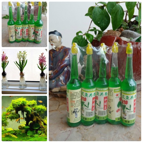 Combo 10 lọ dung dịch thuỷ canh cho hoa, cây cảnh