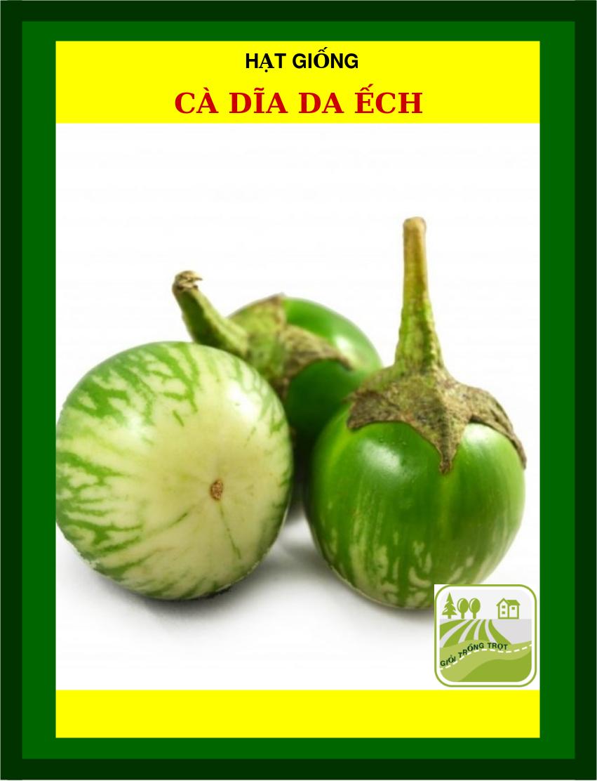 Hạt Giống Cà Dĩa Da Ếch - 1Gram
