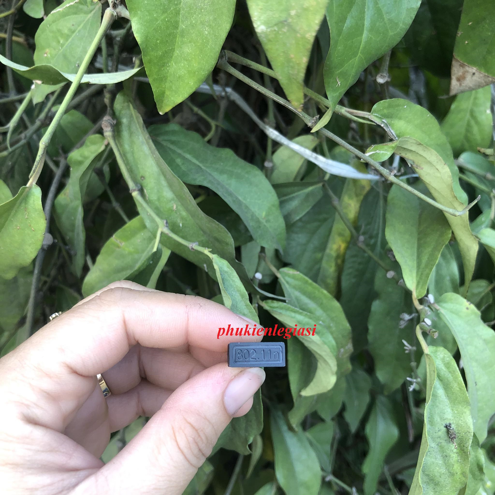 USB thu Wifi 802.11n Antenna 150Mbps