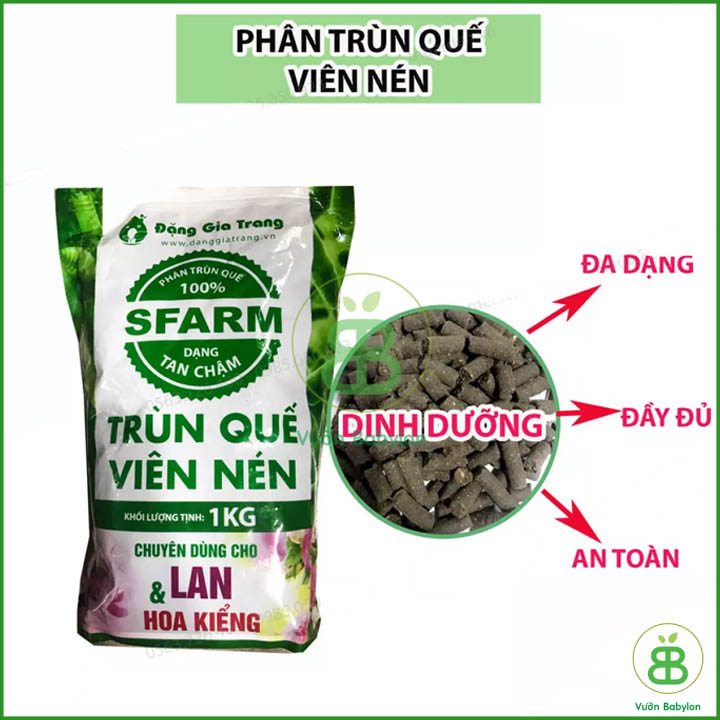 Phân Trùn Quế Viên Nén Sfarm 1KG