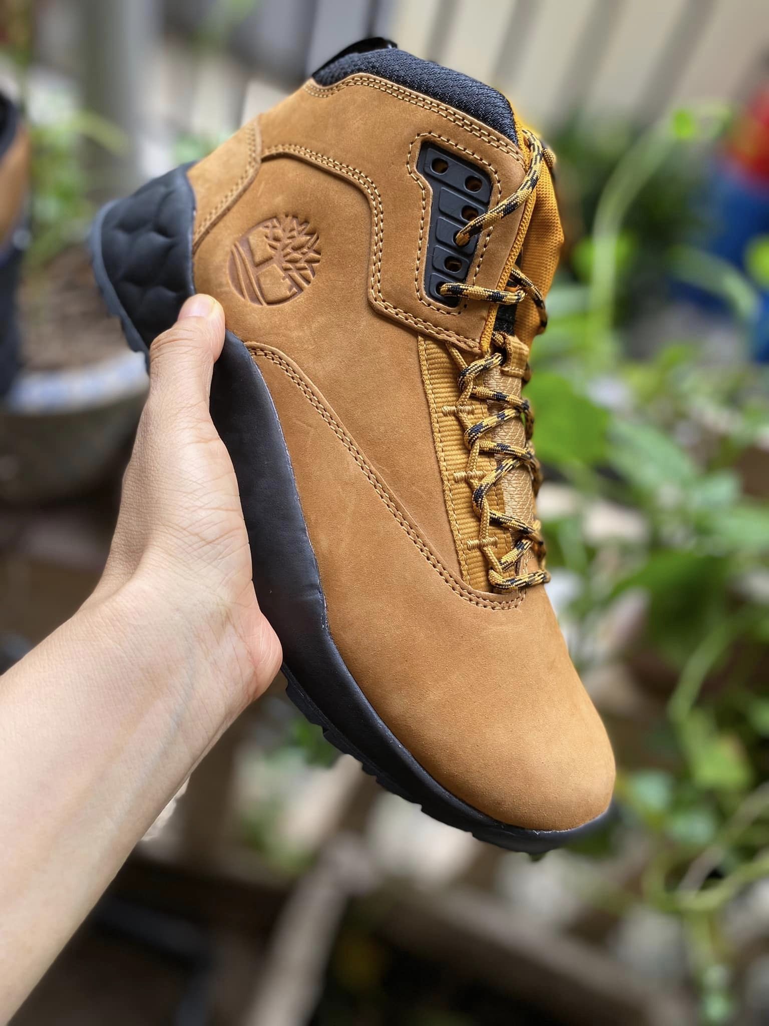 Giày Timberland Solar Wave Mid