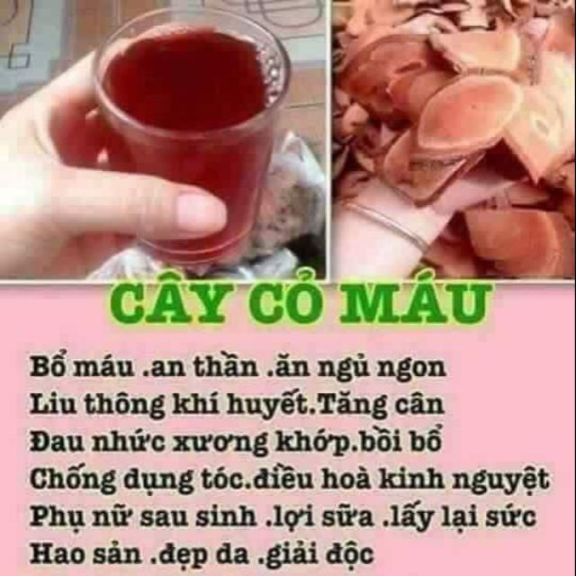 1kg cỏ máu tăng cân
