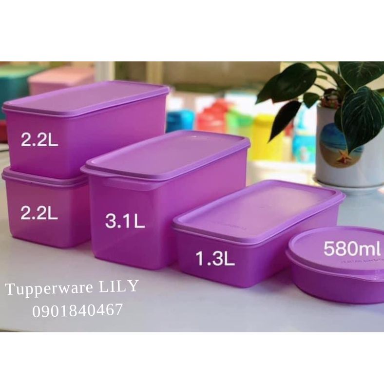 Bộ hộp trữ mát Freshia tím (5 hộp) Tupperware