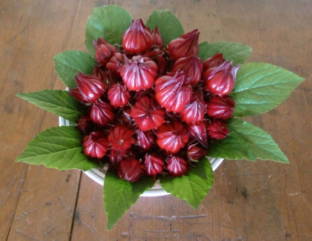 [Quà Tết 2022] 400g trà hoa dâm bụt (hibiscus atiso đỏ) khô LL244