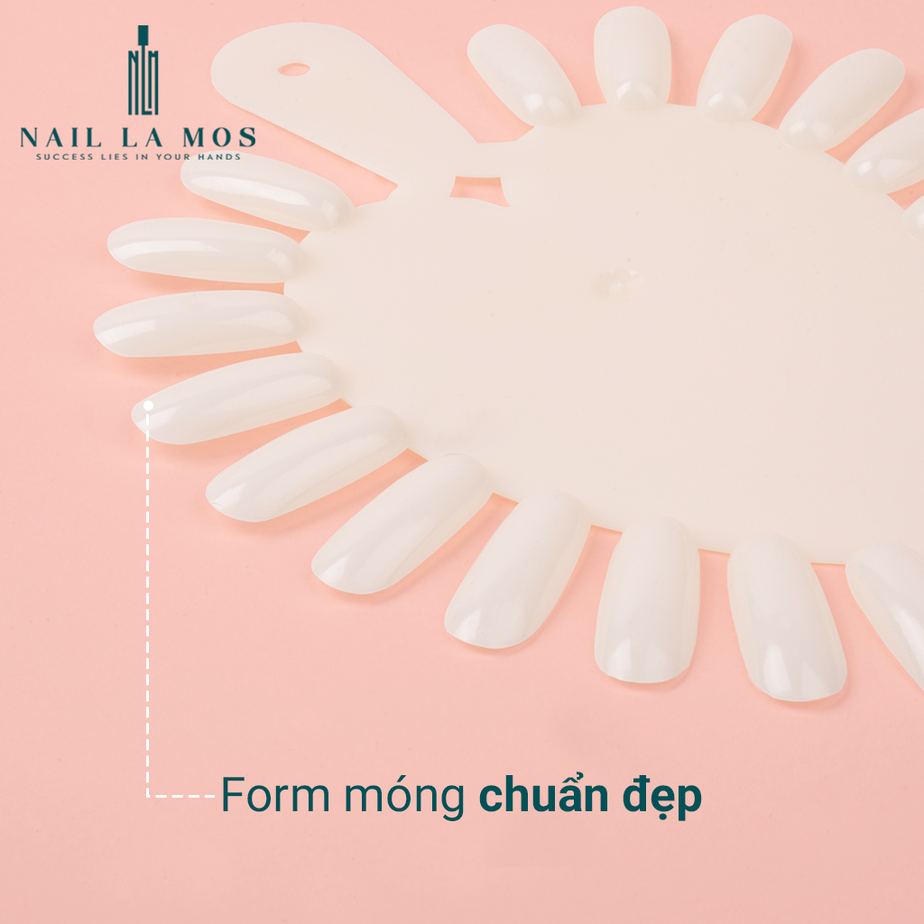 Móng mẫu tập vẽ - Móng giả tập vẽ vỉ trái tim (1 bịch 10 vỉ 210 móng)