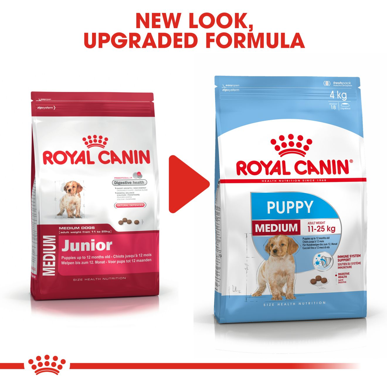 Hạt Cho Chó Con Giống Vừa Royal Canin Medium Puppy