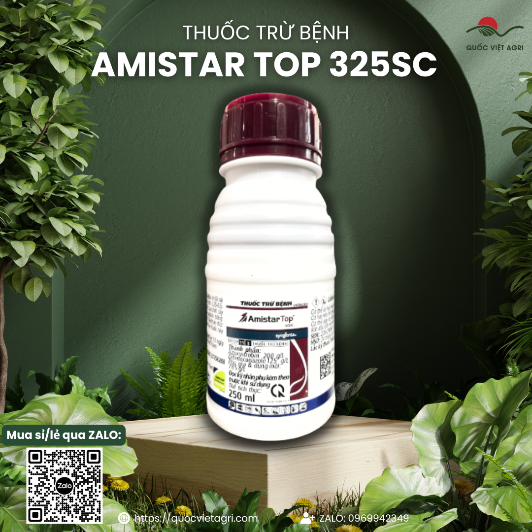Pesticide Amistar Top 325Sc Syngenta (100ml - 250ml) - Azoxystrobin 200G/L + Difenoconazole 125G/L Treats Powdery Mildew, Seed Rot, Downy Mildew, Leaf Spots, Rust