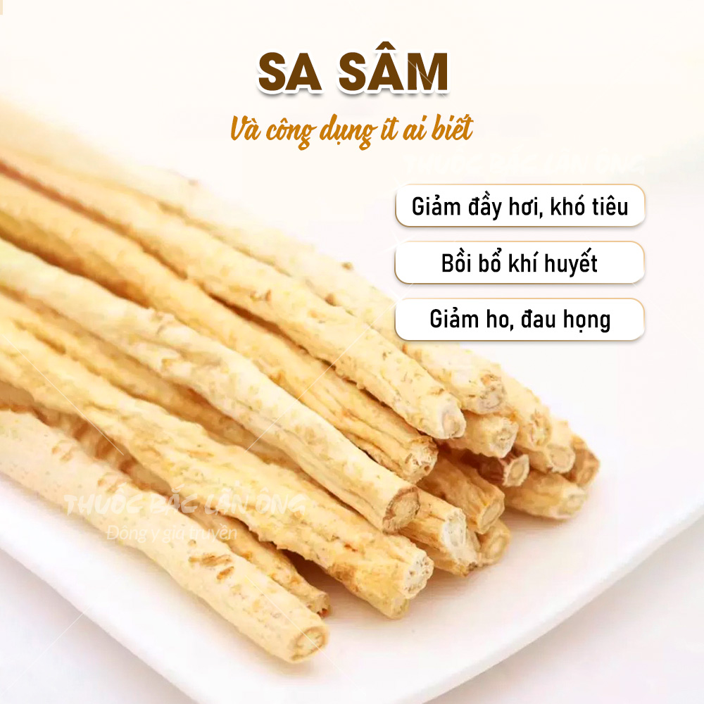 Sa sâm khô 100g, rễ sa sâm bắc, nguyên củ, thái lát, thơm, sạch - Lãn Ông