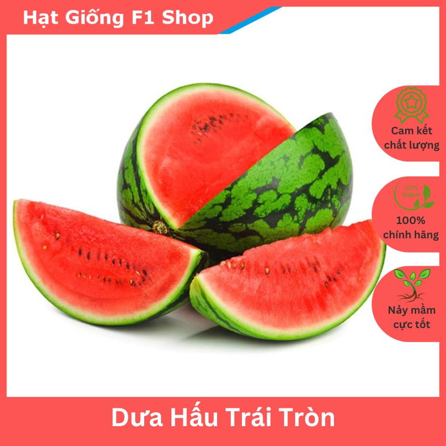 Hạt Giống Dưa Hấu Trái Tròn To