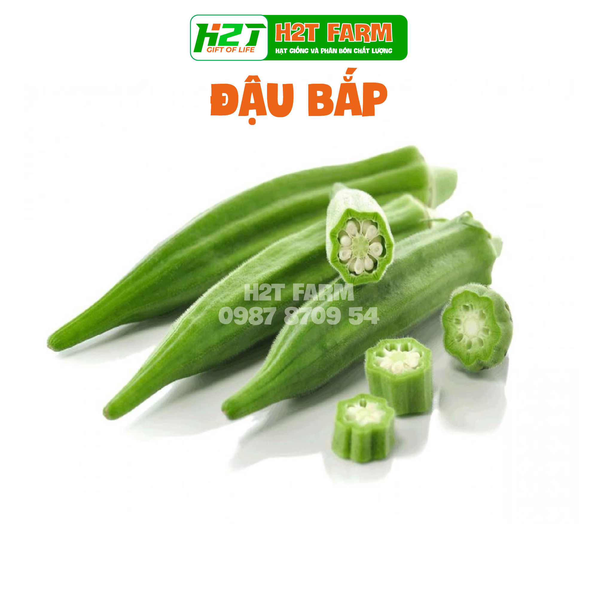 Hạt giống đậu bắp xanh cao sản 20gr - h2t farm