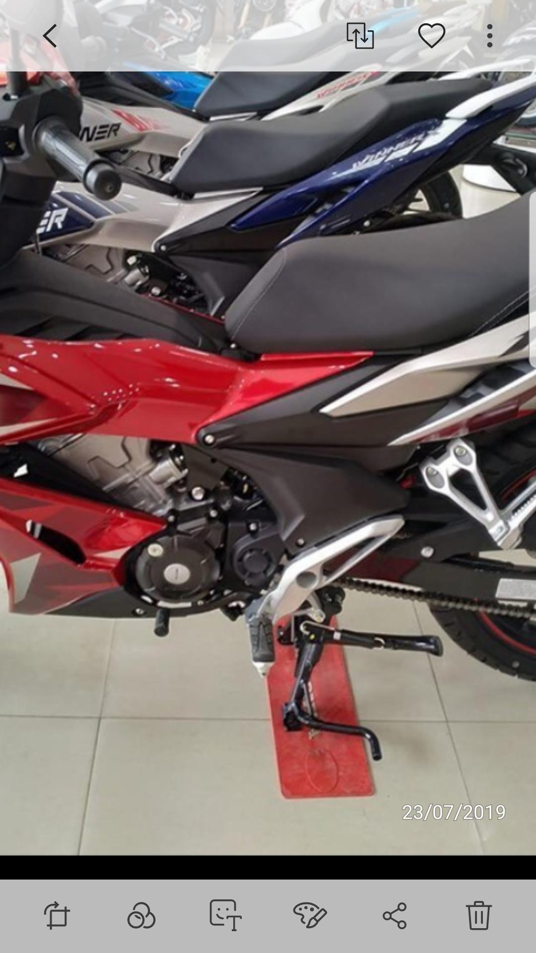 Ốp sườn xe WINNER X 2019