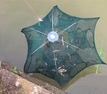 Lưới bắt cá, tôm,cua...lưới bát qúai 8 cửa