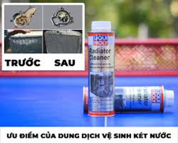Súc két nước LIQUI MOLY 300ml (dung dịch vệ sinh két nước)