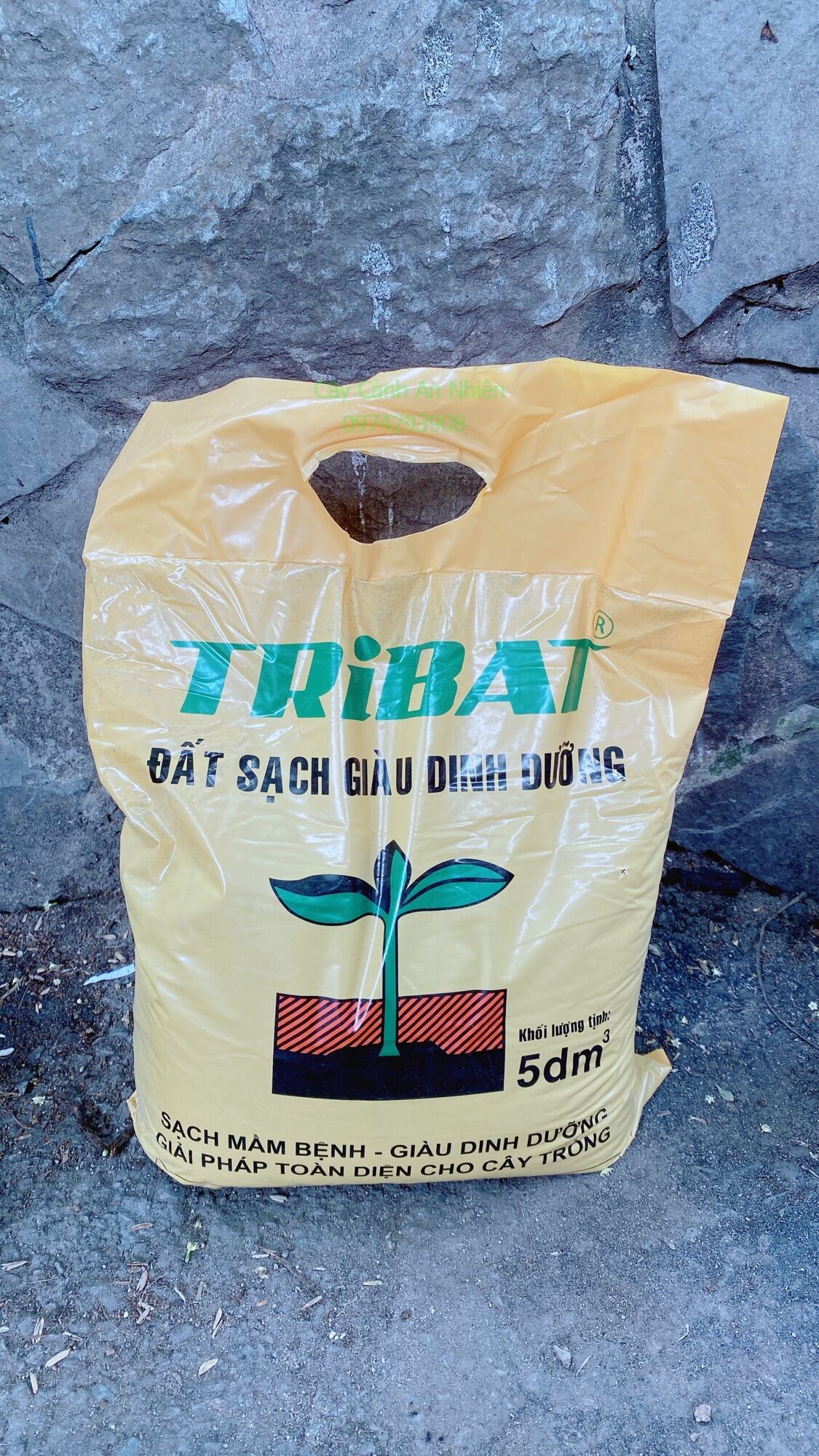 Đất TriBat Trồng Cây