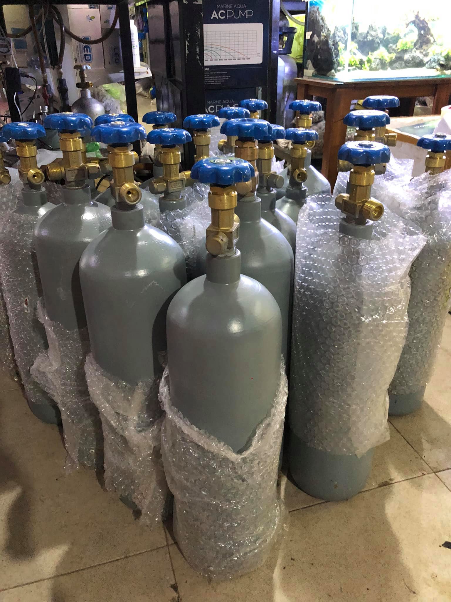 Bán bình khí thuỷ sinh CO2