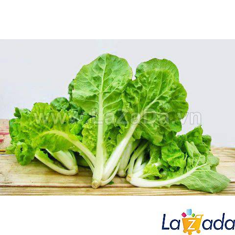 1KG Hạt Giống Cải Bẹ Dún (| W1*X45)