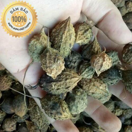 Khổ qua rừng nguyên trái - Khổ qua gai sấy khô tự nhiên
