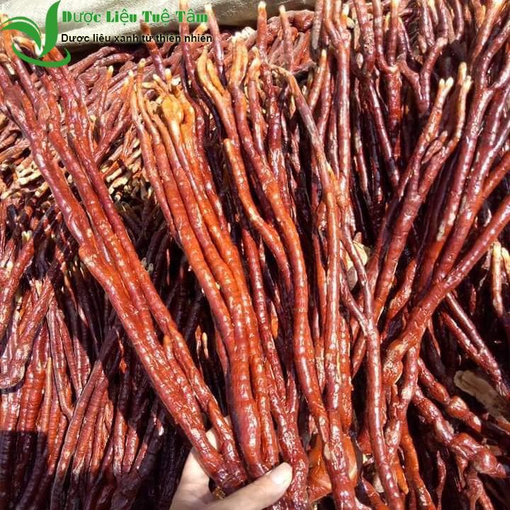 1KG Nấm linh chi sừng hươu - Nấm sừng hươu