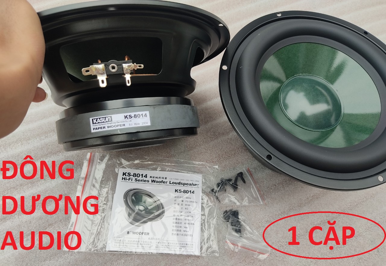 2 CHIẾC LOA BASS SUB 20 KASUN MÀNG XANH - LOA BASS 20
