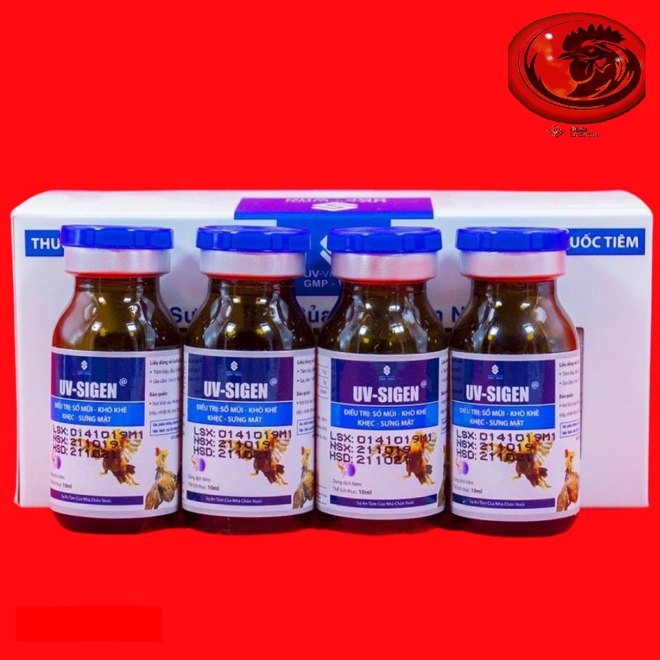 COMBO 4 LỌ UV - SIGEN đặc trị xỗ mũi, khò khè cho gà đá 1 LỌ 10ML
