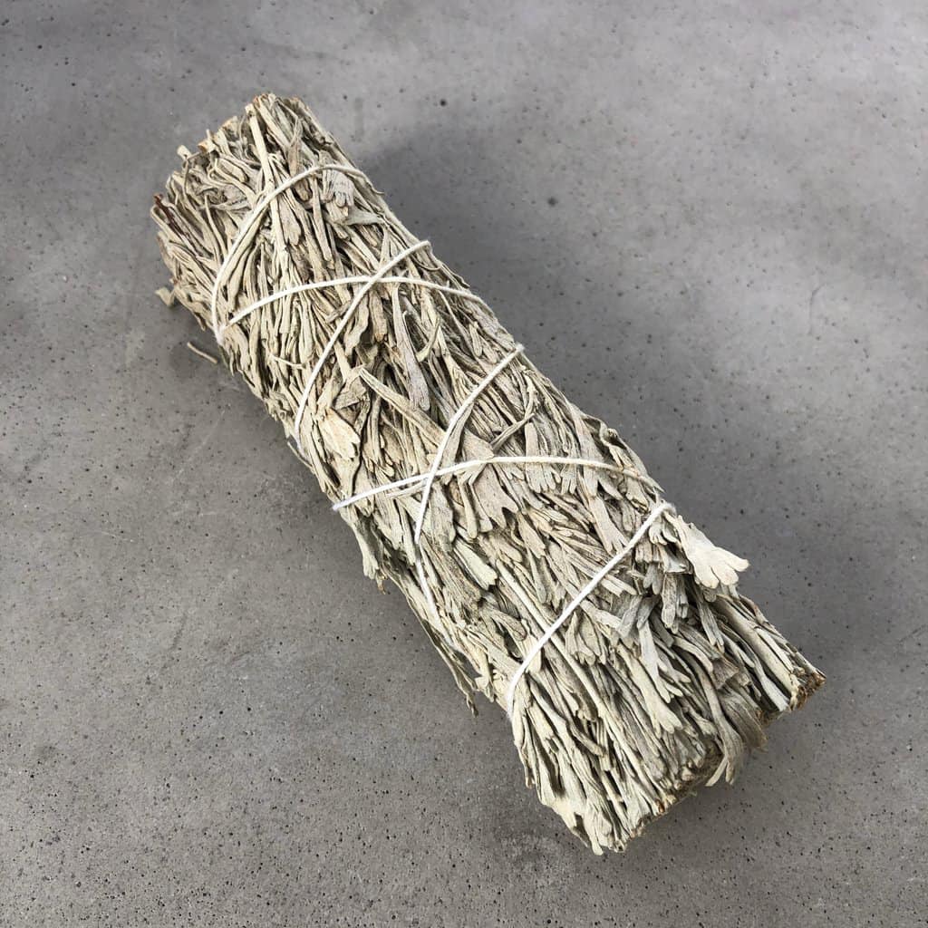 Xô thơm xanh - Blue sage - THẢO MỘC XÔNG NHÀ