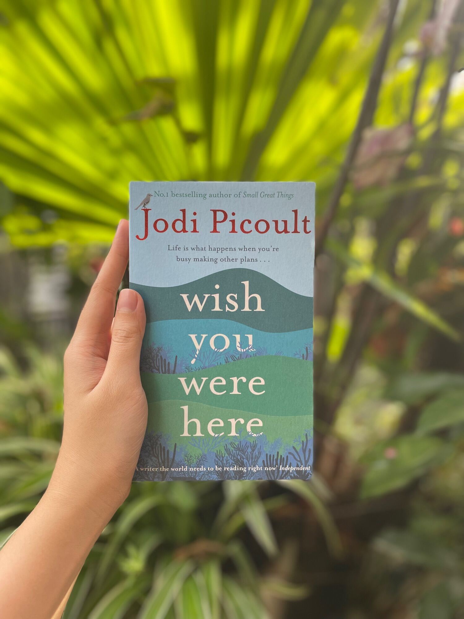 Wish You Were Here (Pocket size) - Jodi Picoult