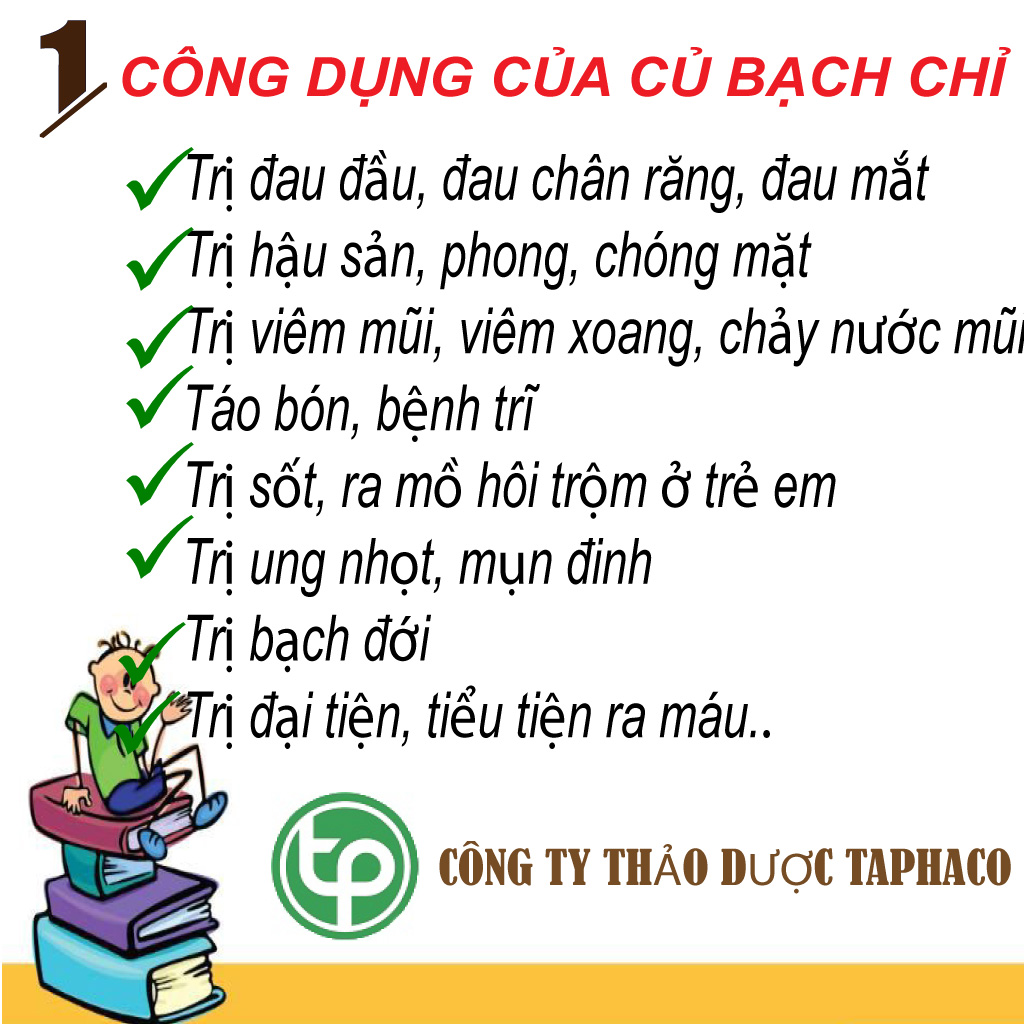 Bạch chỉ khô 100g - Tấn phát