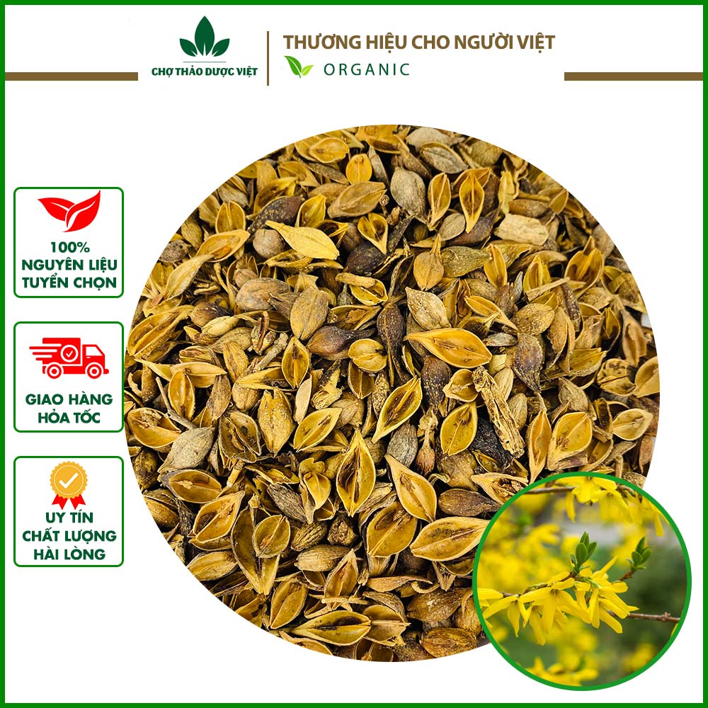 Liên kiều 300g, quả liên kiều, hạ liên tử, khô, thơm, sạch - Chợ Thảo Dược Việt