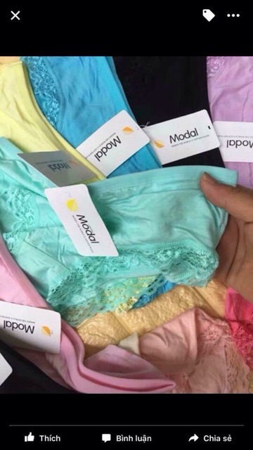 Combo 10 quần lót nữ, quần chip cotton Modal