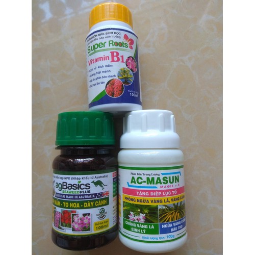 COMBO chăm sóc cây sứ thái mập thân to lá (Ag Basics+AC Masun+B1 Super roots ) - 100ml/chai