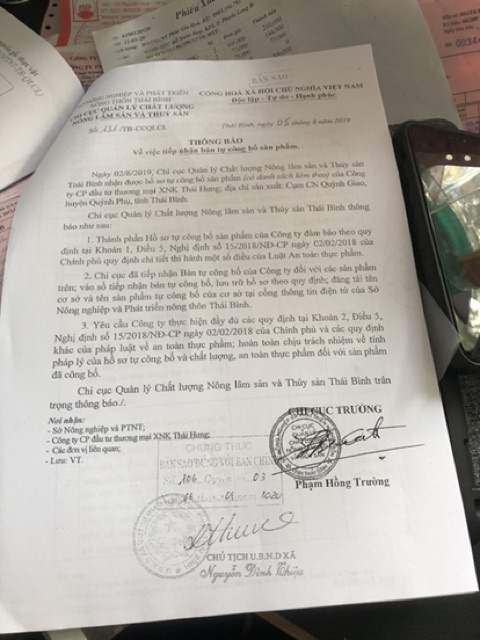 [HCM]Trà Cà Gai Leo - Mát Gan  Giải Độc