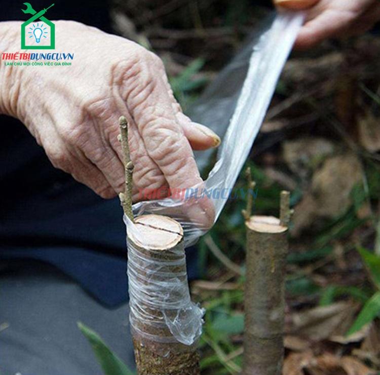 Băng ghép cây cuộn xanh 4cm